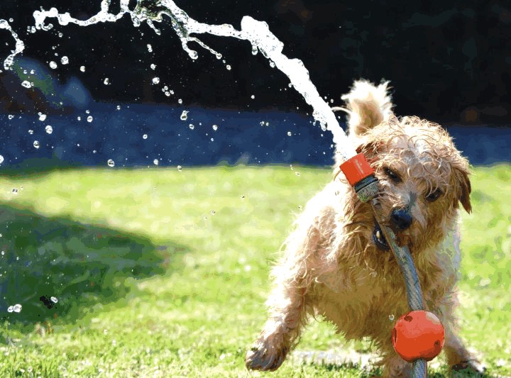 Mantenimiento inteligente de tu casa en verano