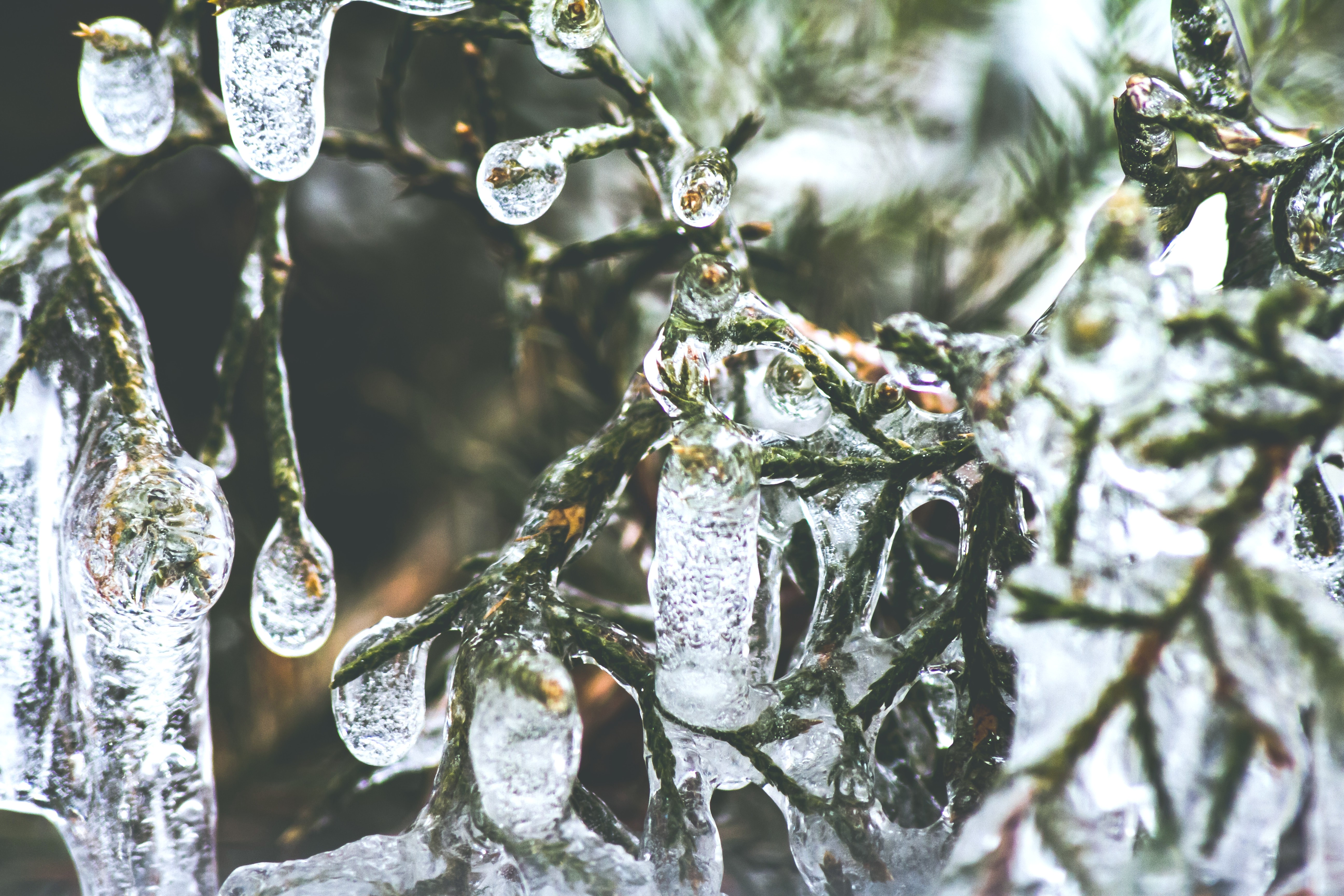 ¿Podría nuestra calefacción ayudarnos a sobrevivir a una Edad de Hielo?